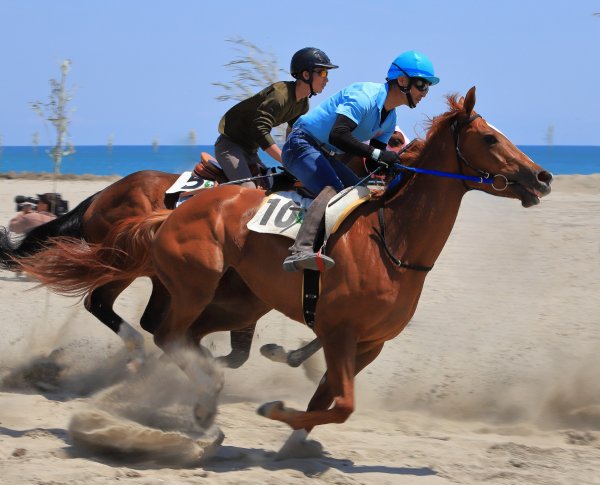 ゴール目指して