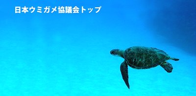 日本ウミガメ協議会