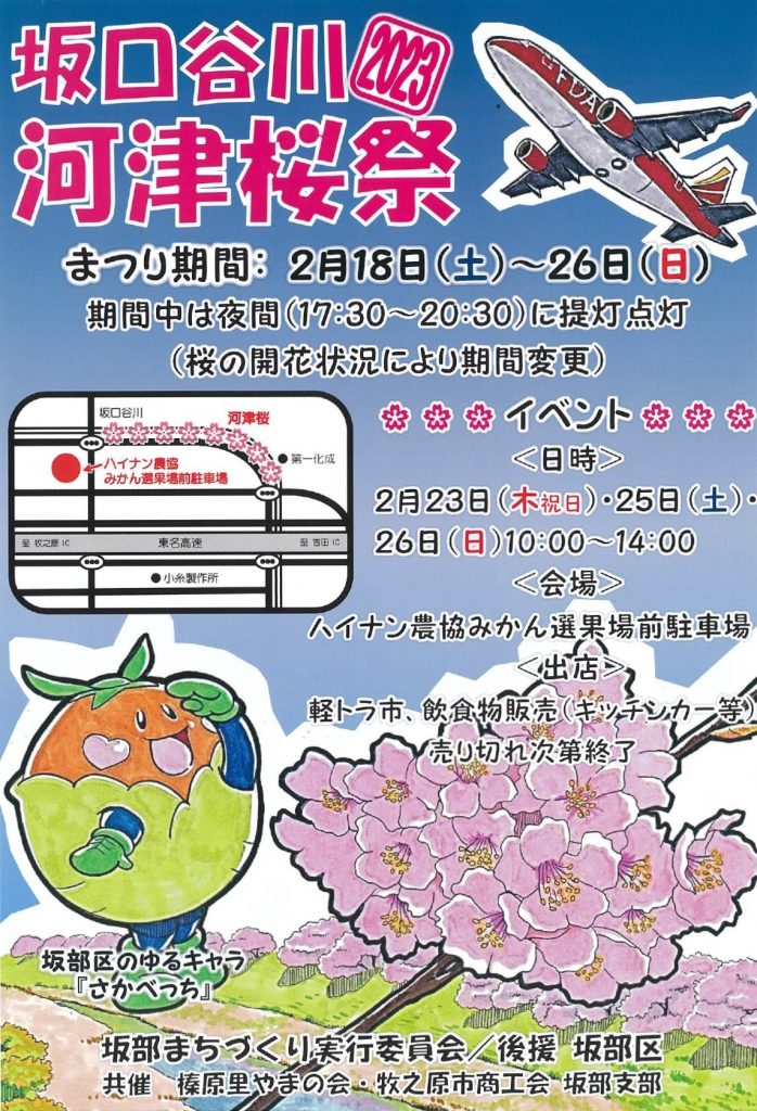 坂口谷川河津桜祭